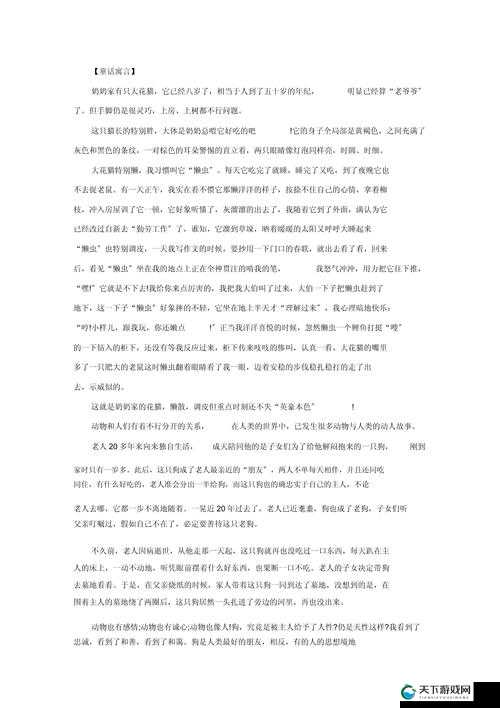 美国人与动物之间那些奇妙又引人深思的故事