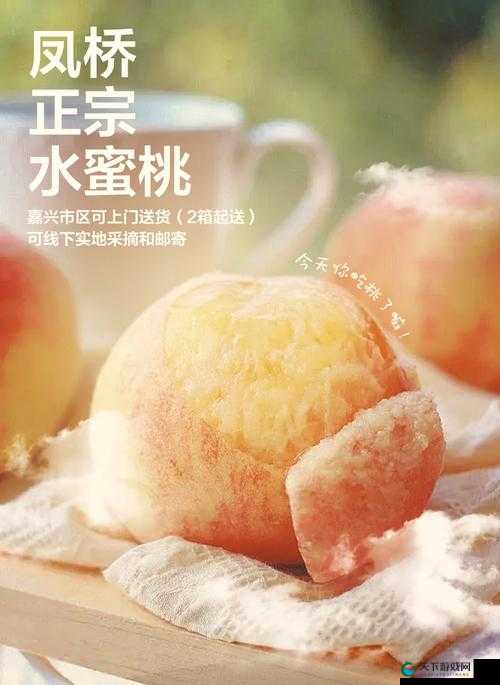 水蜜桃隐私密视频免费:精彩内容不容错过