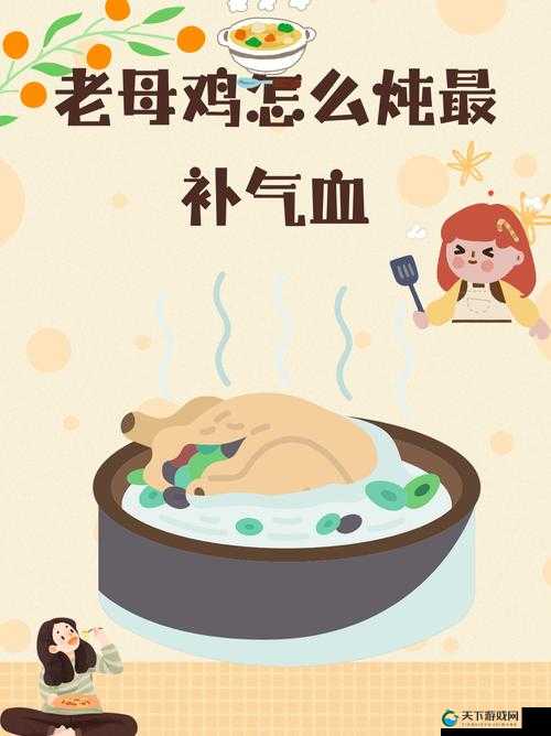 大香煮 2024 一人一煮使用方法：详细步骤与注意事项介绍