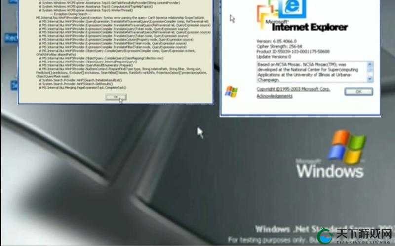 日本 Windows Server 片相关内容及深入探讨