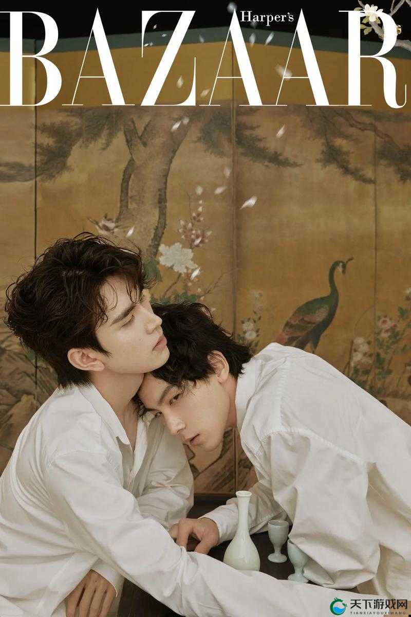 双男主高清素材大全精彩视频合集