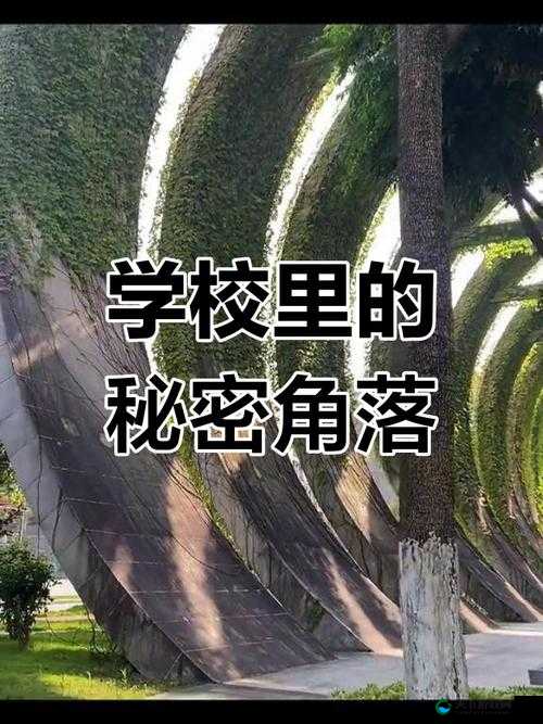 慢慢破大学生处真实视频：揭开不为人知的校园隐秘角落