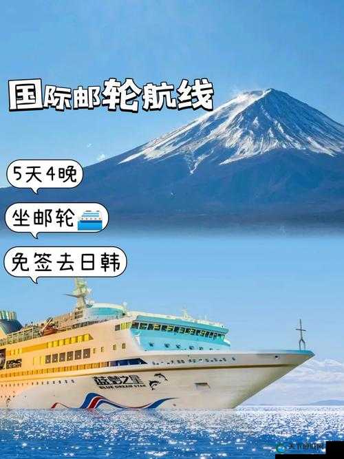 日韩一卡 2 卡 3 卡 4 卡新区免费：带来全新体验与惊喜
