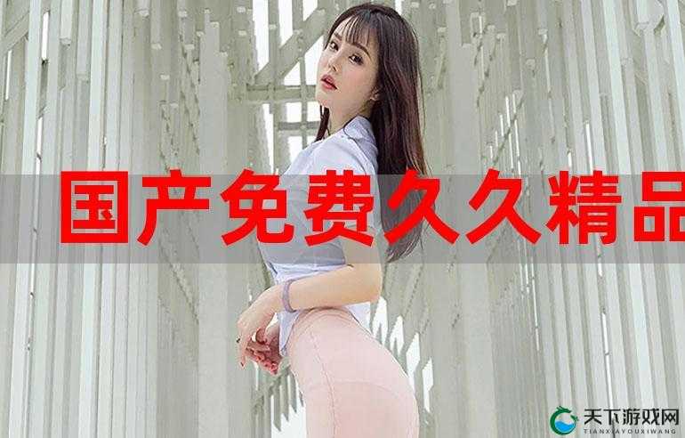 17C丨国产丨精品入口：探寻高品质国产精品的世界