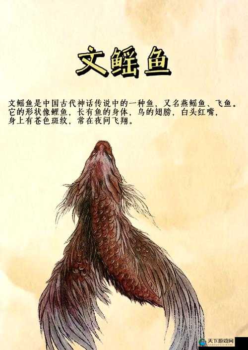 星空乌鸦天美大象果冻：探索未知的奇幻之旅
