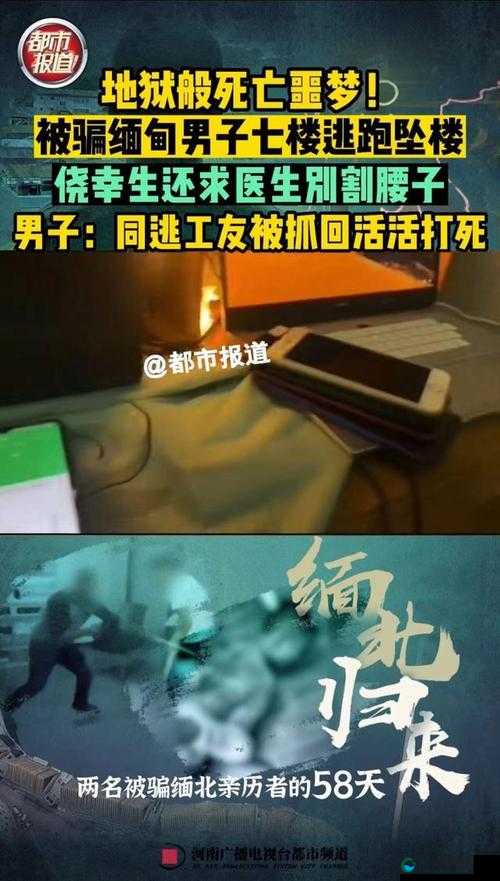 缅北禁地 2024:揭开神秘背后的真相与警示