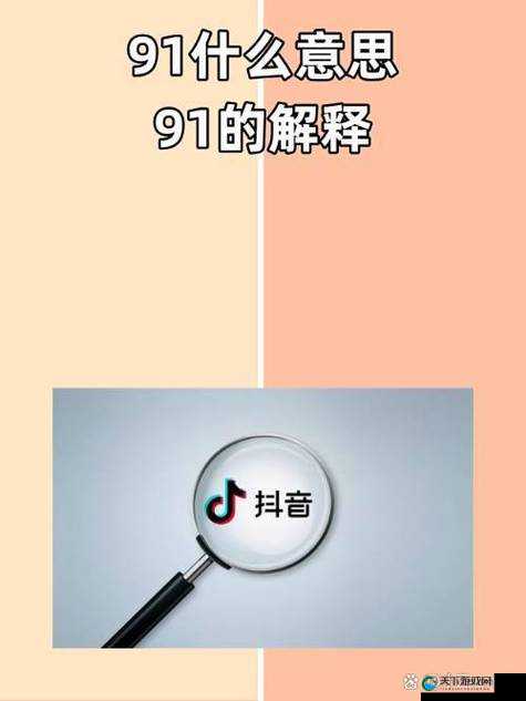 91 抖抈：引发关注的独特内容平台