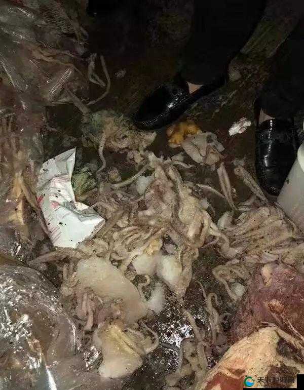 男子驾驶运肉车私运腐烂肉，一路臭气熏天：令人作呕