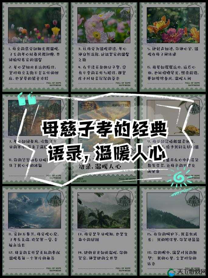 善良的儿媳为家庭默默付出:用爱诠释孝道