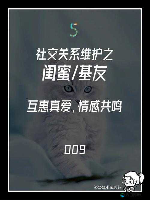 三个人一起玩 3Q 会怎么样：是社交还是挑战？