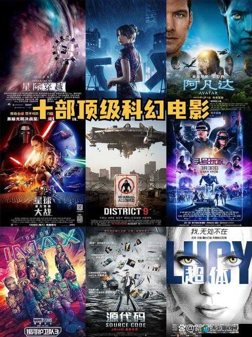 年轻人半夜看 B 站：探索未知的奇妙之旅