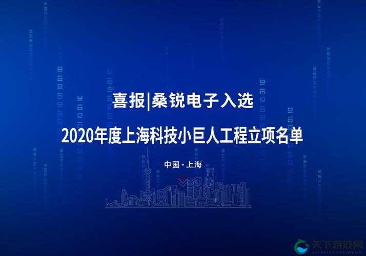 5g 影视年龄确认实名认证：为何要进行以及其重要意义