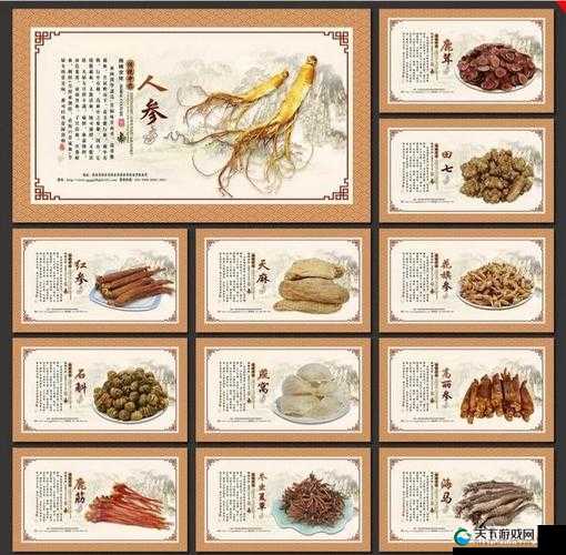 日本产品和韩国产品的区别究竟在哪里以及各自的优势与特色