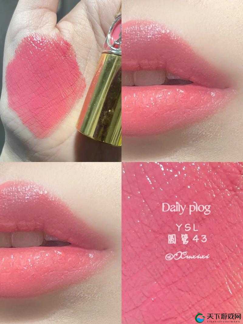YSL 蜜桃色 6696-尽显独特魅力的时尚美妆之选