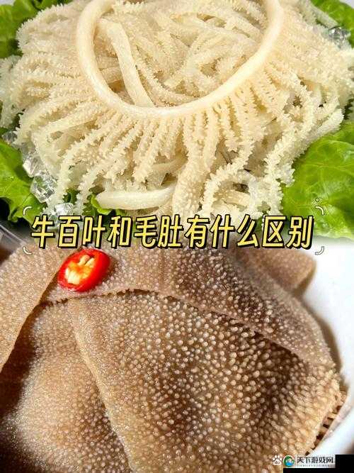 牛百叶是牛的什么部位：深入探究其独特所在