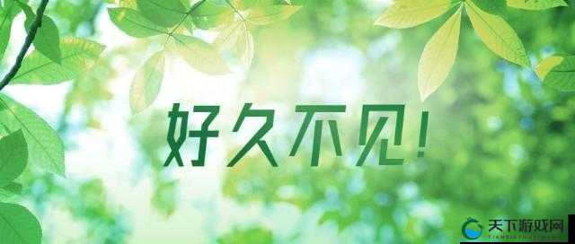5566 好久不见 mp3 免费下载可以进去了快来体验吧