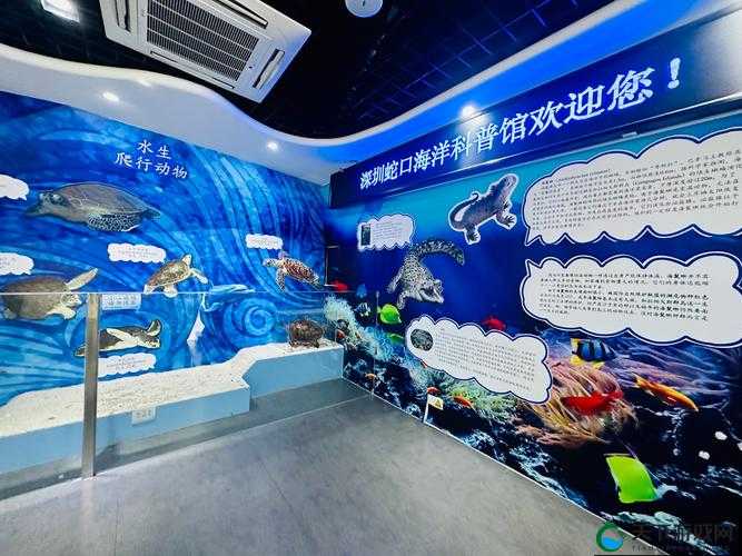 探索未知的海洋：揭秘 AV 界的奥秘