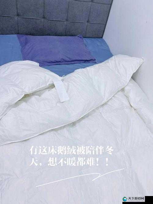 男生和女生打牌不盖被子什么意思：探寻背后的真相与隐情
