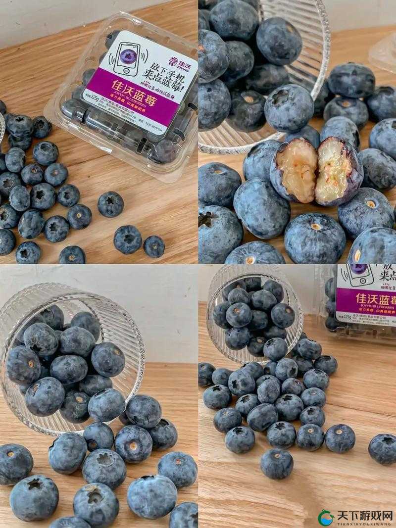 女生啊~你 TM 别 了蓝莓:你是否还在寻找一款美味的水果零食?