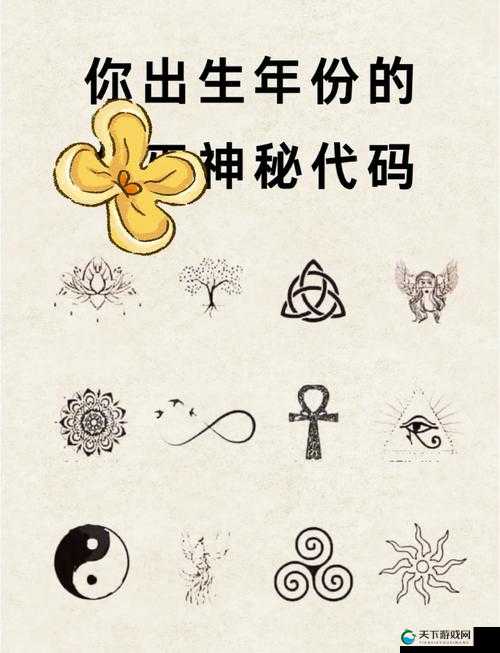 4438xxx：探索未知领域的神秘代码与奇妙旅程
