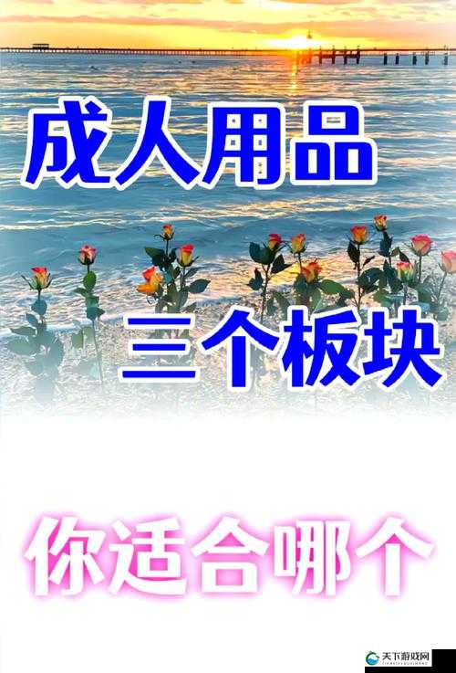 www.成年人璜铯- 探索成年人世界的精彩与奥秘