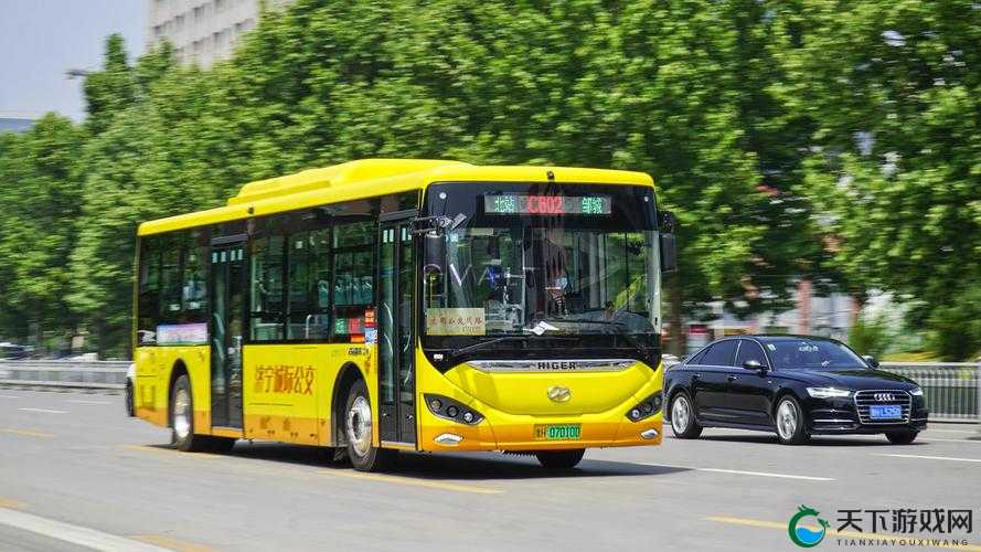 公交车 6 人轮换 c 事件引发的深度思考