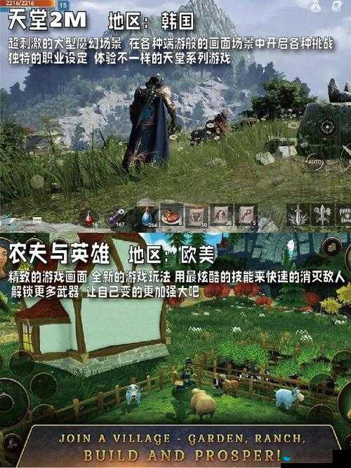 人马畜禽 CORPORATION 猪：探索奇幻世界的冒险之旅