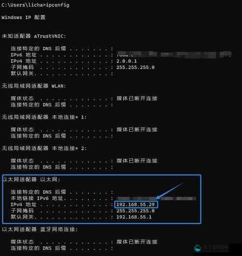 日本服务器免费IP地址浏览器：稳定高速上网的选择