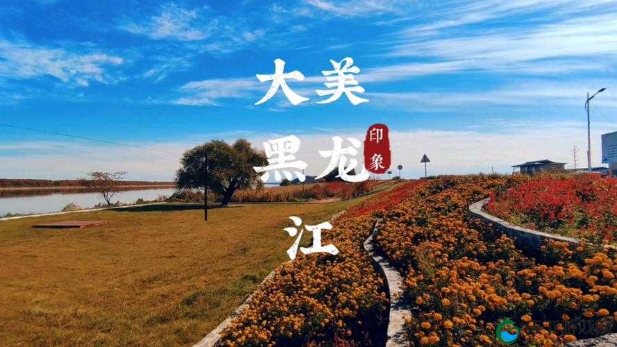 www.hlj.dun ：带你领略黑龙江的独特魅力与风情