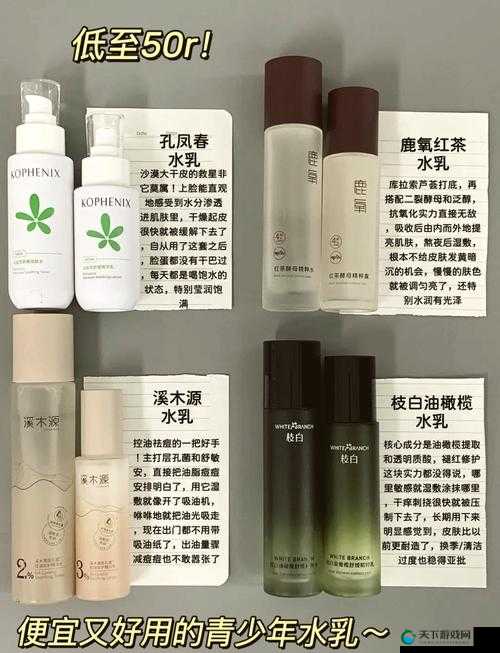 16-18 年龄的水乳：适合青少年肌肤的最佳选择