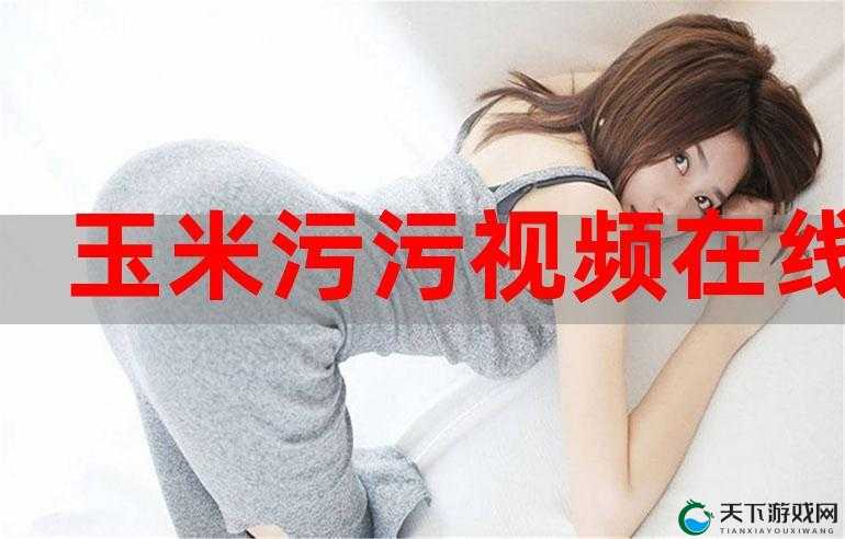 8x8x 在线:畅享高清视频的私密空间