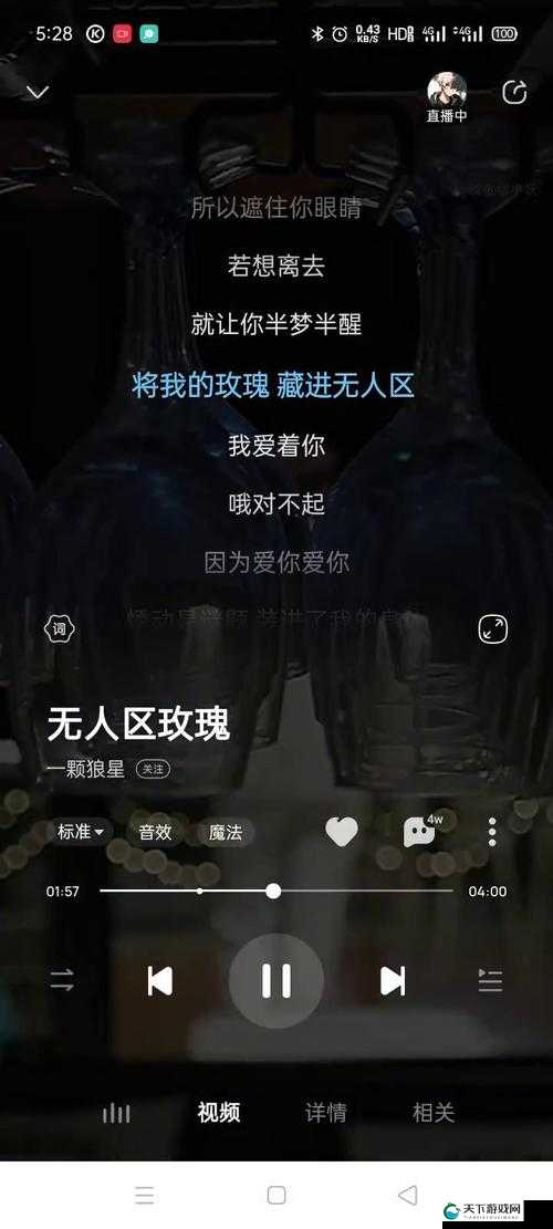 无人区玫瑰 MV 和一颗狼星相似 所展现的独特魅力与情感表达