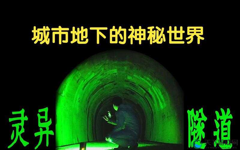 仙踪林特黄 AAAAA 片：探索未知的神秘世界