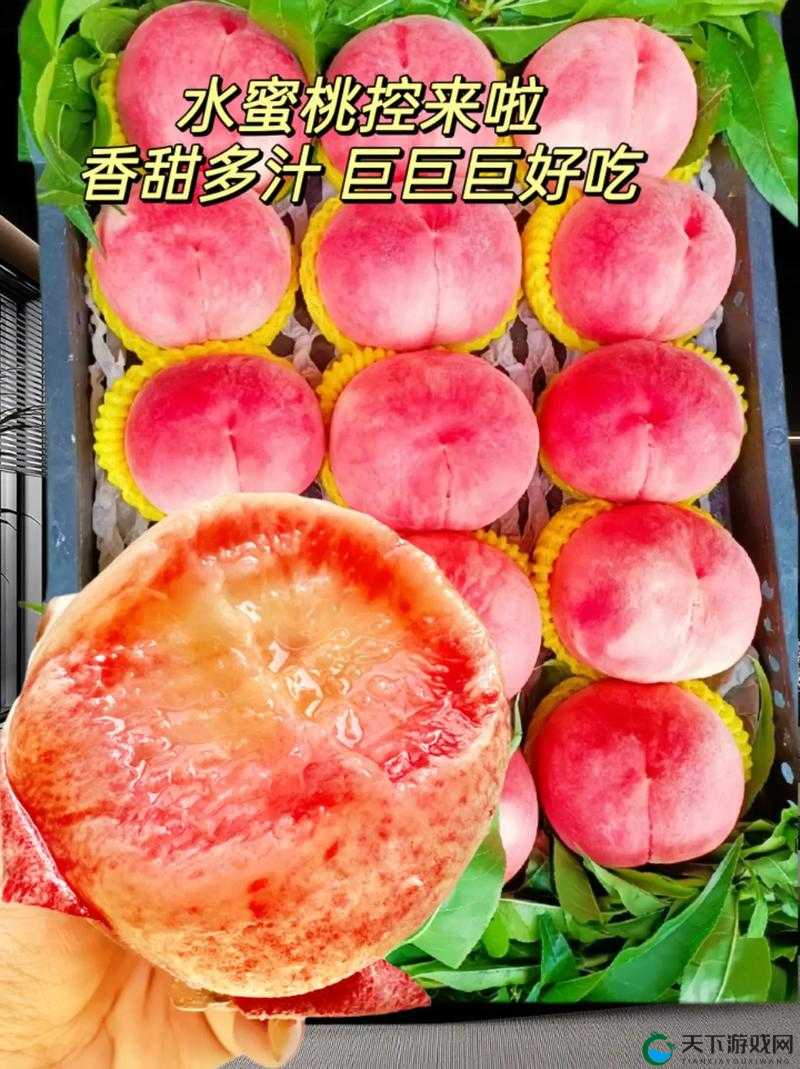 幸福的收获SN3858粉色水蜜桃:甜蜜多汁令人陶醉的水果精品