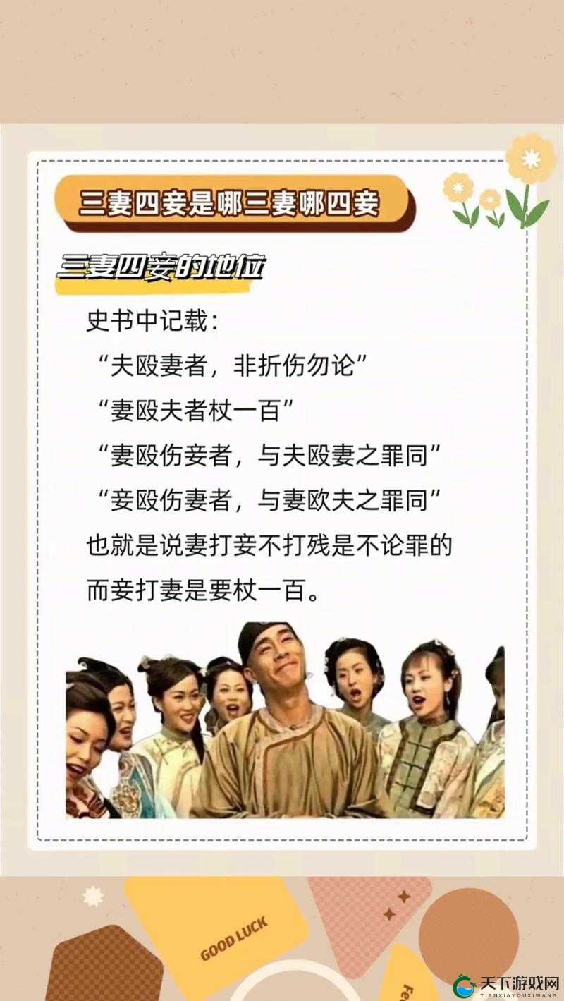 三妻四妾免费观看完整：古代婚姻制度的奇景