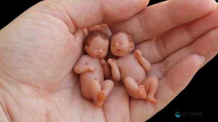 世界上最小 BB 有几个:探寻新生婴儿的体型极限之谜