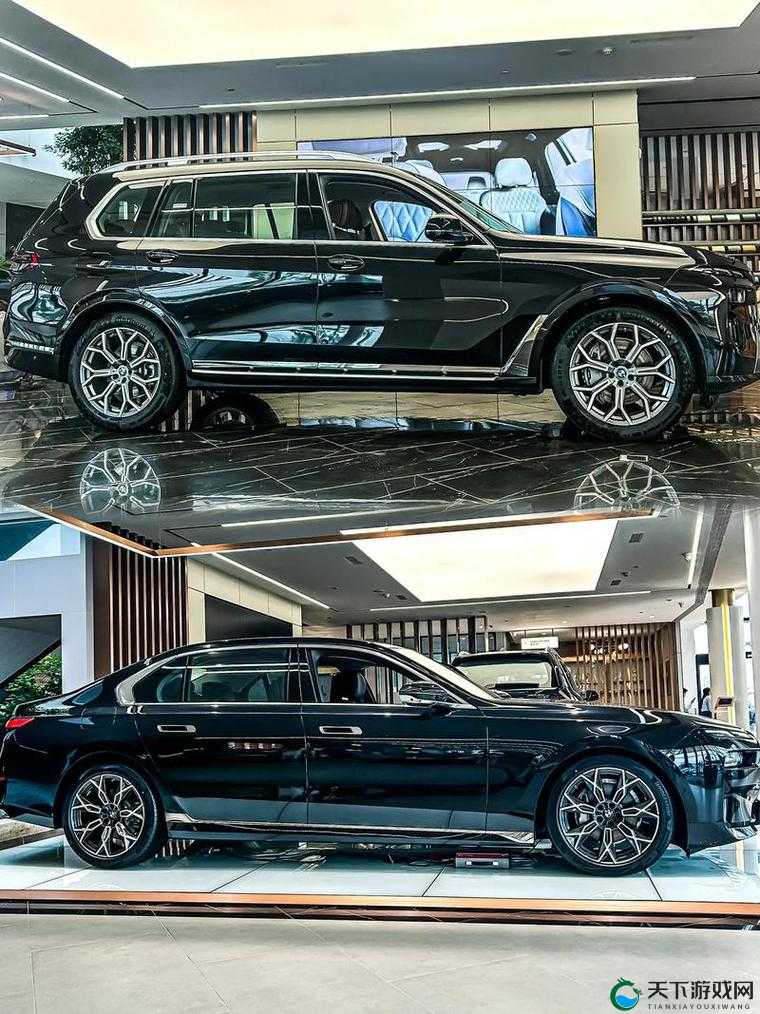 新一国产与进口 x7x7x7 槽比较科技揭秘-深度分析与全面解读