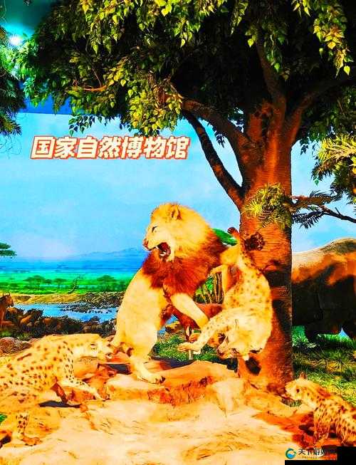 以太九 Tnl9 威尼斯：探索奇幻世界的奇妙之旅