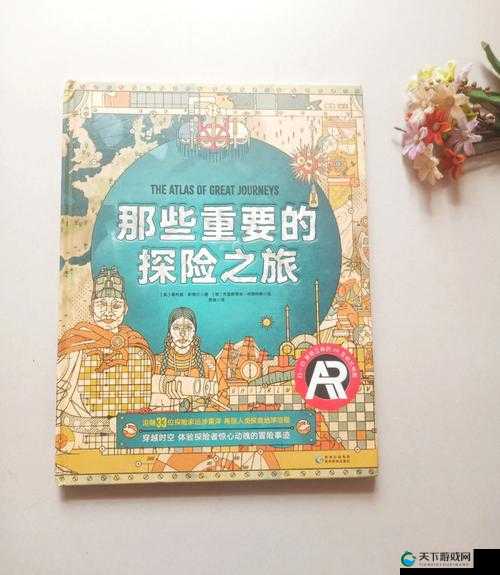 双胞胎一前 一后夹心饼干双子：独特美味与奇妙组合的探索之旅