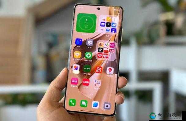 下载 3.0.3 免费 oppo 版大全：尽享丰富资源的绝佳选择
