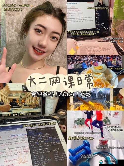 ACCA 少女网课视频 2024：助力高效学习成就未来财务精英