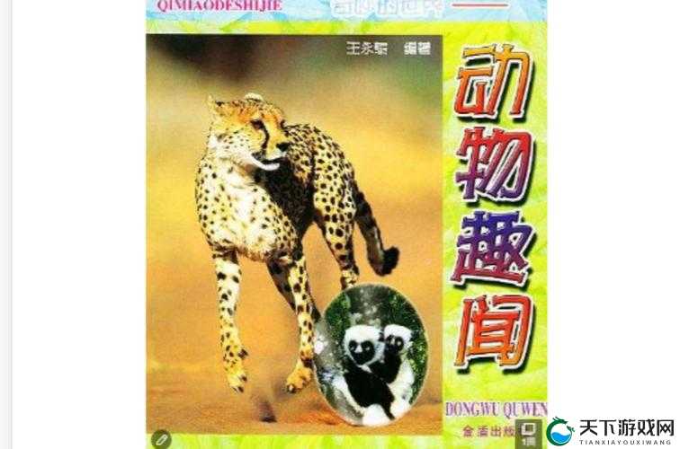 奇妙动物世界:ZoomZookeeper 动物的奇妙故事