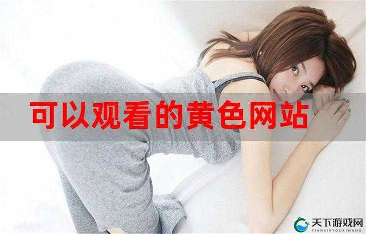 免费网站在线观看人数在哪网:快速了解最新最热的网站流量