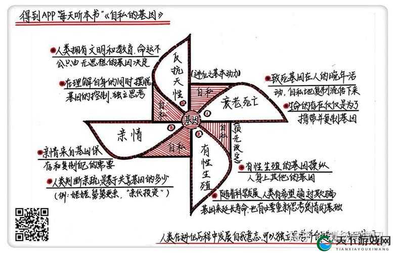 人性理论与 XY 理论关系之探析