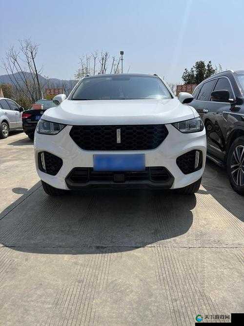 weyvv5 国产的 suv 免费：畅享高品质汽车生活无需花费一分钱