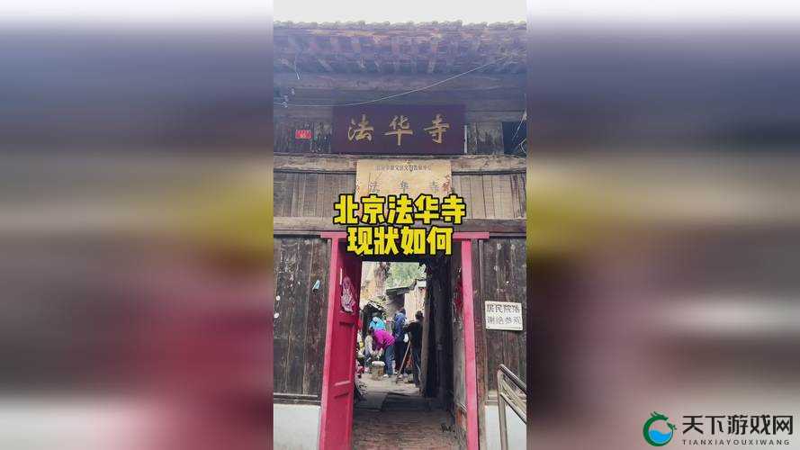 卡一卡二卡三国产拍：精彩国产影片的独特魅力呈现