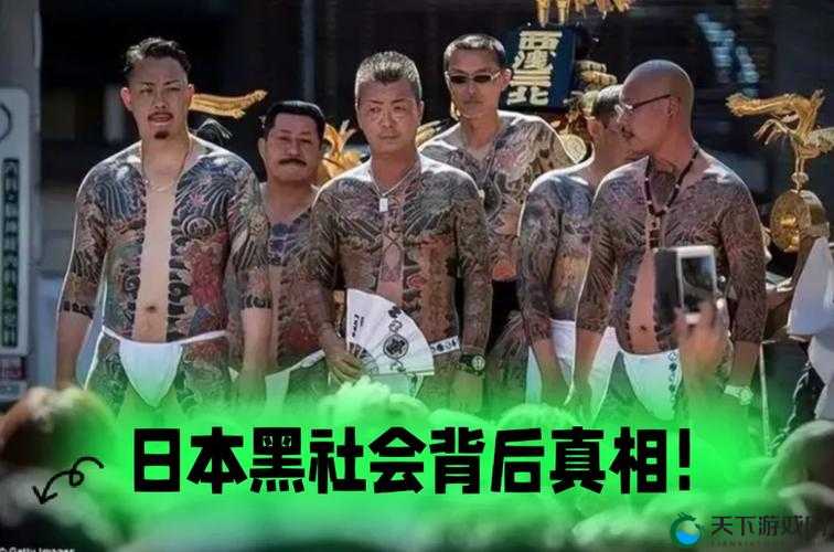 日本财阀玩艺人吗背后的真相与影响探讨