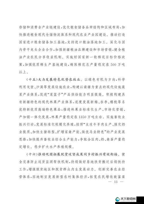 中国新疆XXXXXL19-2024：关于它的详细介绍与分析探讨