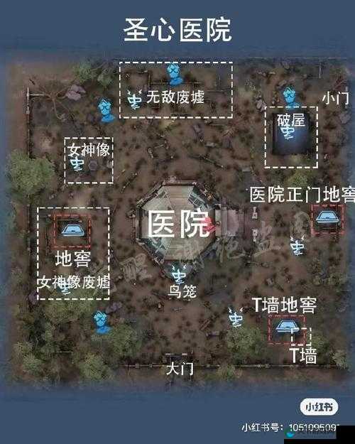 第五人格，探索地窖的奥秘与策略