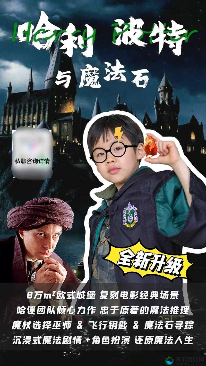 魔法世界的探索与启迪，以哈利波特为镜